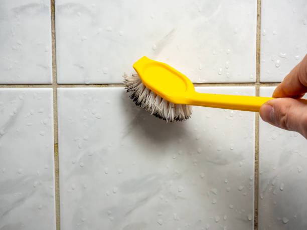 Best DIY Mold Remediation Support Services in Columbia, IL