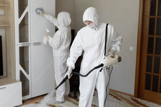 Best Attic Mold Remediation in Columbia, IL