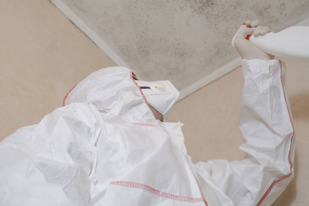 Best Industrial Mold Remediation in Columbia, IL